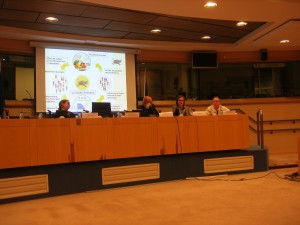 parl europ 26 11 13